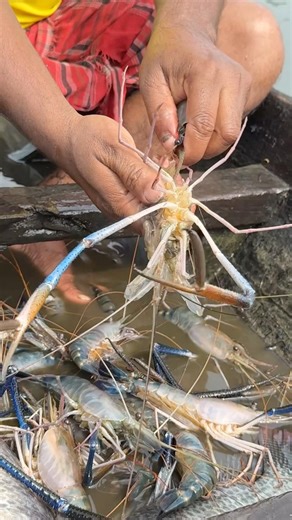 "Success is possible only by using experience"!#foryou #viral #shorts #fish #fishing #fisherman #...