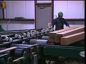 Linebar Resaw - Sawmill Equipment by McDonough Manufacturing