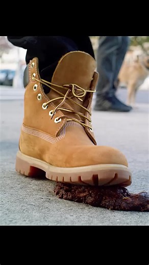 Prime Reells on Instagram: "🎬 Brüno (2009) 🎭 Genre: Comedy • Satire • Mockumentary Premise: Brüno follows Brüno Gehard, a flamboyant and delusionally confident Austrian fashion reporter who is fired from his TV job and sets off to become a world-famous celebrity. Armed with outrageous confidence and zero self-awareness, Brüno travels across the United States attempting to break into fame through fashion shows, talk shows, military units, religious groups, and Hollywood itself. His methods are