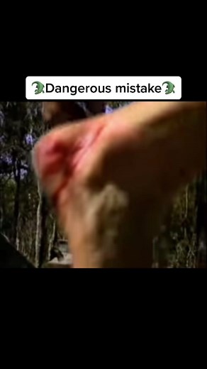 Dangerous mistake 🐊#steveirwin #crocodile #worldwide #fy #fypシ #foryou #fyp #foryoupage