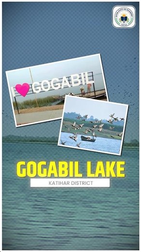 Bihar's 6th Ramsar Site Gogabeel Lake | Gogabil Lake Manihari Katihar | Newest #ramsarsite #shorts