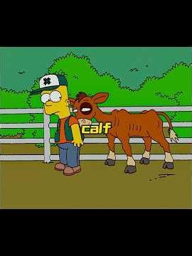 Bart raises cattle.#thesimpsons