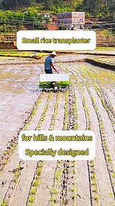 small rice transplanter 🔥 . . . . . . . . . . . . #agriculturemachine #paddyplanting #riceplantingmachine #ricefield #farming #reels | 𝘽𝙡𝙪𝙚 𝘾𝙝𝙚𝙢𝙥