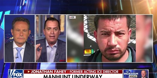 ‘Illegal alien criminals’ must be Dems’ most important constituents says former ICE director