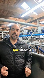La nueva tecnología de MSD Salud Animal ya está operando en el Fundo San Enrique, donde el sensor de células somáticas analiza en tiempo real una muestra de leche de cada punto de ordeña, transformando el proceso en datos precisos para mejorar salud, eficiencia y gestión del rebaño. Comenta la publicación y te enviamos la nota completa para conocer cómo esta herramienta eleva el control y la toma de decisiones en sala. #MonitoreoEnSala #InnovaciónLechera #CélulasSomáticas #GestiónDelRebaño #Info