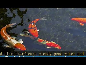 API POND ACCU-CLEAR Pond Water Clarifier 32-Ounce Bottle