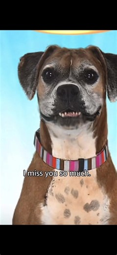 Exploring Grief and Loss Through Art