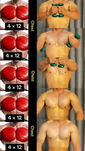🔥 Best Chest Workout at Home | Build a Bigger Chest | No Equipment | Full Chest Routine