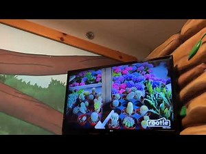 PBS Kids Rootle Program Break (June 21 2025) (Incomplete)