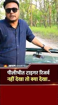पीलीभीत टाइगर रिजर्व नहीं देखा तो क्या देखा!