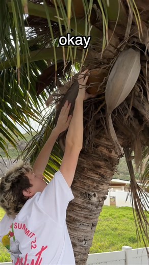 34K views · 421 reactions | CRACKING OPEN A WILD COCONUT | TyBott Official | Facebook