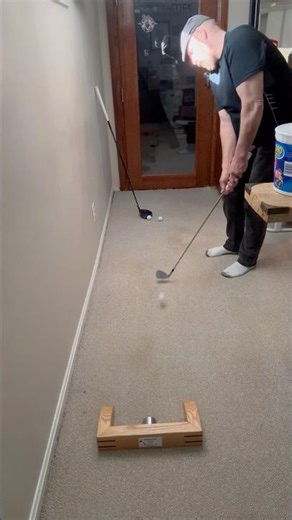 JOES GOLF PRACTICE TARGET BRAIN HEALTH EXERCISE FUN