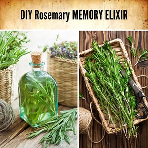 3.1K reactions · 1.2K shares | Throwing natural healing plants in the...