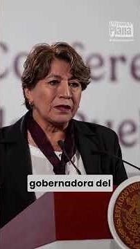 Violencia de género: ¿Cómo se ayudará a las víctimas en México? | Primera Plana