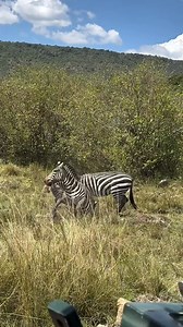 780K views · 7.1K reactions | #nature #photography #naturephotography #travel #love #photooftheday #instagood #naturelovers #landscape #beautiful #instagram #art #picoftheday #photo #travelphotography #wildlife #like #sunset #mountains #adventure #summer #follow #flowers #happy #explore #sky #bhfyp #hiking #beauty #photographer | Nice African Adventure & Safaris | Facebook