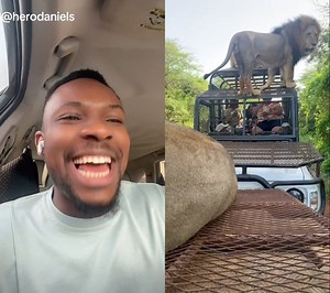 Who wants some Mufasa Cocktail ? Can never be me 🤣 | Hero Daniels