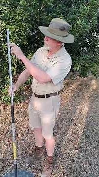 The Disc Pasture Meter