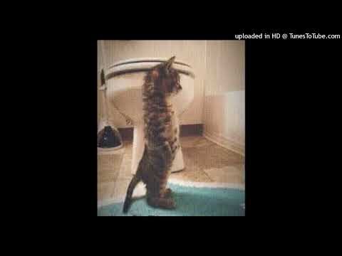 [FREE] Alien Rush Xaviersobased x Ksuuvi Type Beat (Jerk + Hyperpop + Hoodtrap) "Yuh"