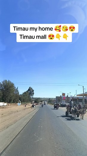 Discover Timau Town: A Gem in Meru County, Kenya