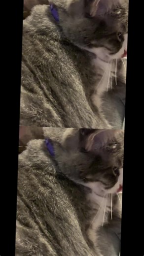 She’s always glaring at me