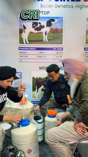 Bal Preet on Instagram