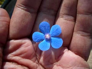 Accepting Emotions ACT method