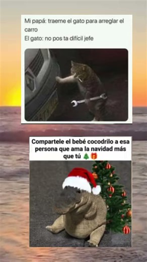 Si te sacó una sonrisa, paga con un sub #music #memes #humor #remix #dúo #xd #funny