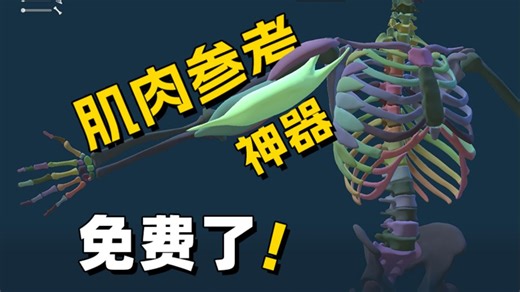 一秒看透骨骼 肌肉逻辑！➡️Anastomia免费了