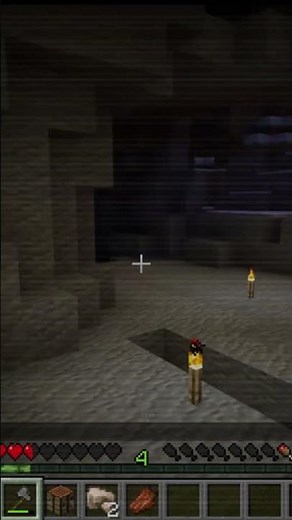 Null rend ton pote stressé #minecraft #gaming #horror
