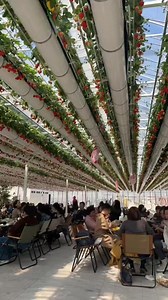 498K views · 3.1K reactions | Smart Garden on Reels | Facebook