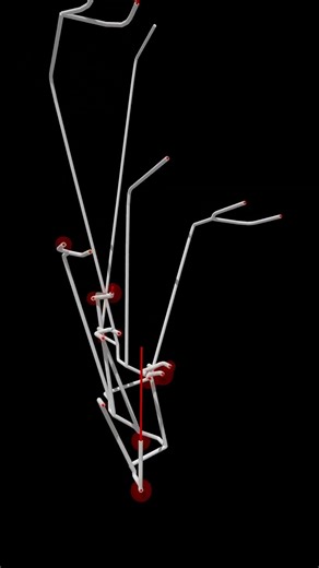 Phylogeny of glowworm beetles, 3D with lasers!