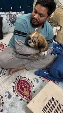 “Smart Dog Brings His Favorite Bowl for Food 🐶🍲 Amazing Dog Intelligence!”