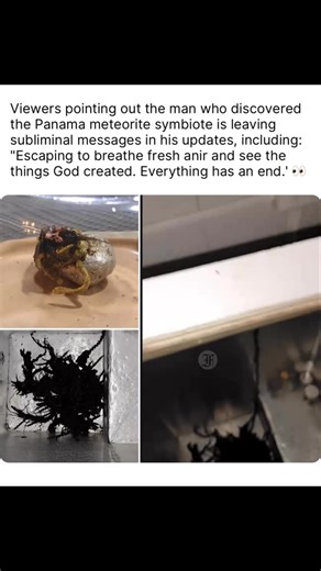 MexicanWorldStarFoo on Instagram: "Viewers pointing out the man who discovered the Panama meteorite symbiote is leaving subliminal messages in his updates, including: “Escaping to breathe fresh anir and see the things God created. Everything has an end.’  ( via: @floridafoos. / tt: kinpanama ) #foocommunity #floridafoos #latinocommunity #alien #ufo #kinpanama #fyp #reels"