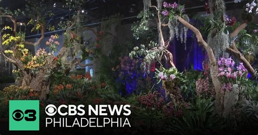 2026 Philadelphia Flower Show returns for its 197th year on Saturday