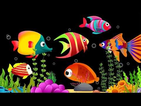 4k Baby Lullaby🐟Soothing fishes🐟Calming Undersea Animation🐟Aquarium #lullaby #sleepmusic #99