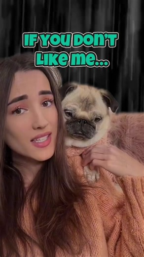 Understanding the Pug Phenomenon with Loulou