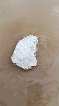 The transformation of quicklime into hydrated lime