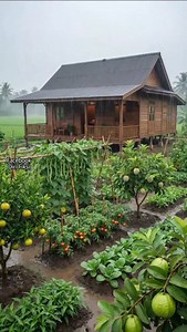 26K views · 8.4K reactions | Rainy Day #rain #RainyDay | Diri Fiksi | Facebook