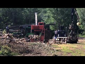 Logging Process videos cutting timber into logs
