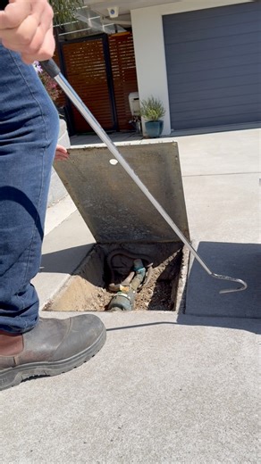 111K views · 444 reactions | Eastern brown snake using a water meter box as a temporary refuge. | ACT Snake Removals | Facebook