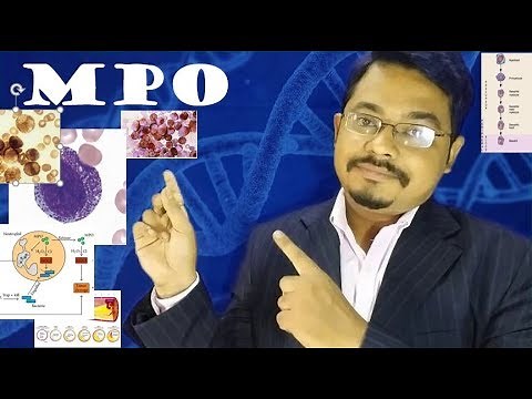 Myeloperoxidase(MPO): Must know facts!!!! #Medschooldiscussion