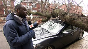 A look at the damage in Montreal caused by the freezing rain storm