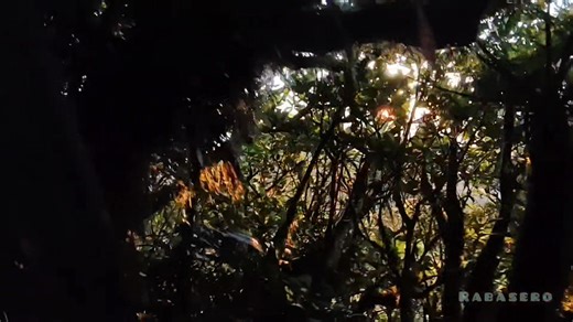 6.1K views · 106 reactions | Sa mga gusto magka ideya kun papano...