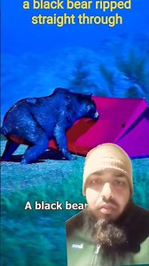 The Scout Who Outsmarted a Bear ☺️ True Survival Story! #shorts