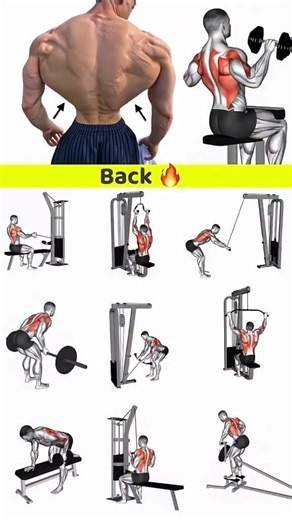 Extreme Back Workout | Build Width & Thickness Fast 🔥
