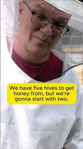 Beekeeping quick tip, bee escape makes it easier. #beeslife #bee #beelife #honeybee #beekeeperslife