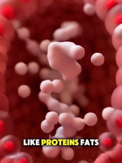 How Body Makes Milk? (3D Animation) #how #body #milk #sugar #3danimation