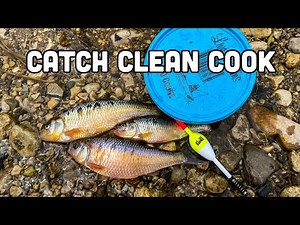 Creek Chub Fishing {Catch Clean Cook}