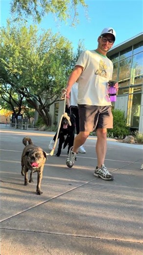 Introducing Tails on the Trails: Dog Day at Phoenix Zoo!