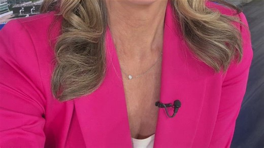 Delta Air Lines increases baggage fees